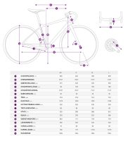 Liv Devote Advanced 2