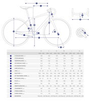 Giant Revolt Advanced 1 / S / 2023
