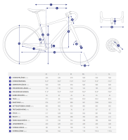 Giant TCR Advanced PRO Frameset