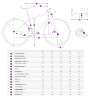 Rennrad LIV Avail Advanced 2