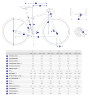Giant Revolt Advanced PRO 0 Gravel Rennrad Geometriedaten