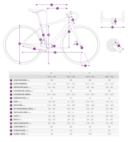 LIV Devote Advanced Pro nebula Gravel Rennrad Geometriedaten
