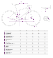Liv Langma Advanced 1 QOM