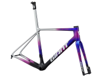 Giant TCR Advanced SL Team Frameset
