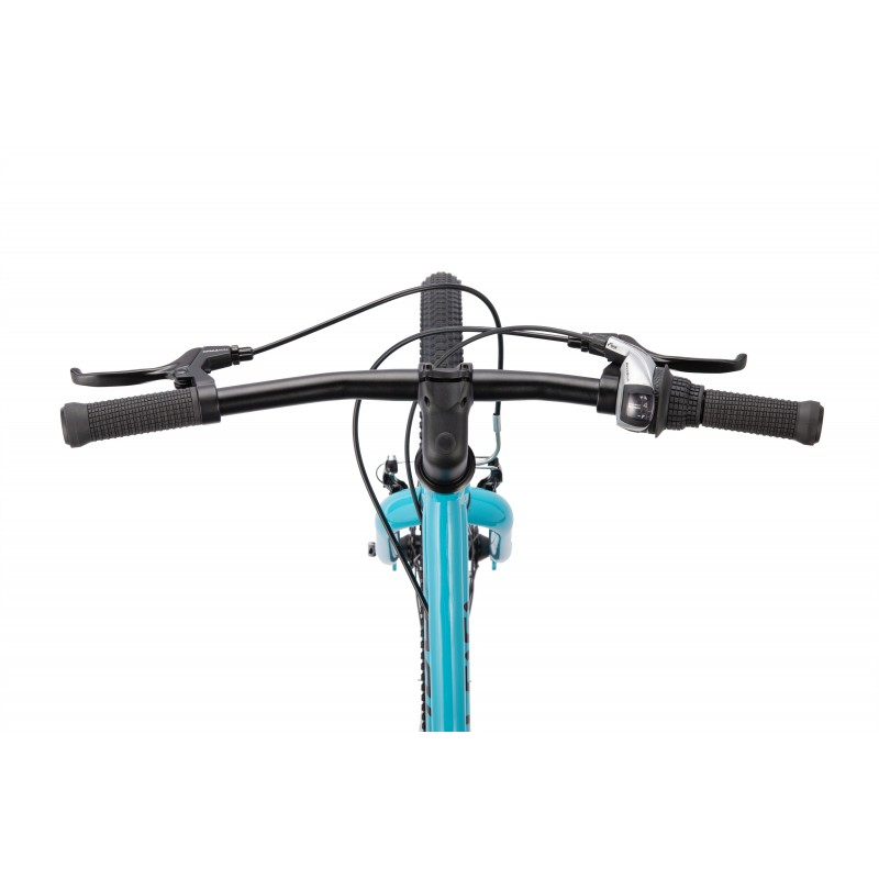 Chameleon 20", Mk2, 8-Speed, Light Green_8510