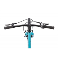 Chameleon 20", Mk2, 8-Speed, Light Green_8510